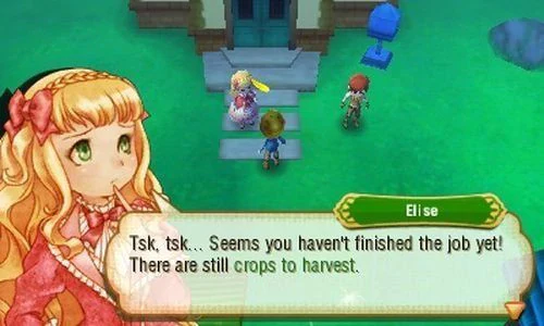 STORY OF SEASONS - 3DS - Image 4
