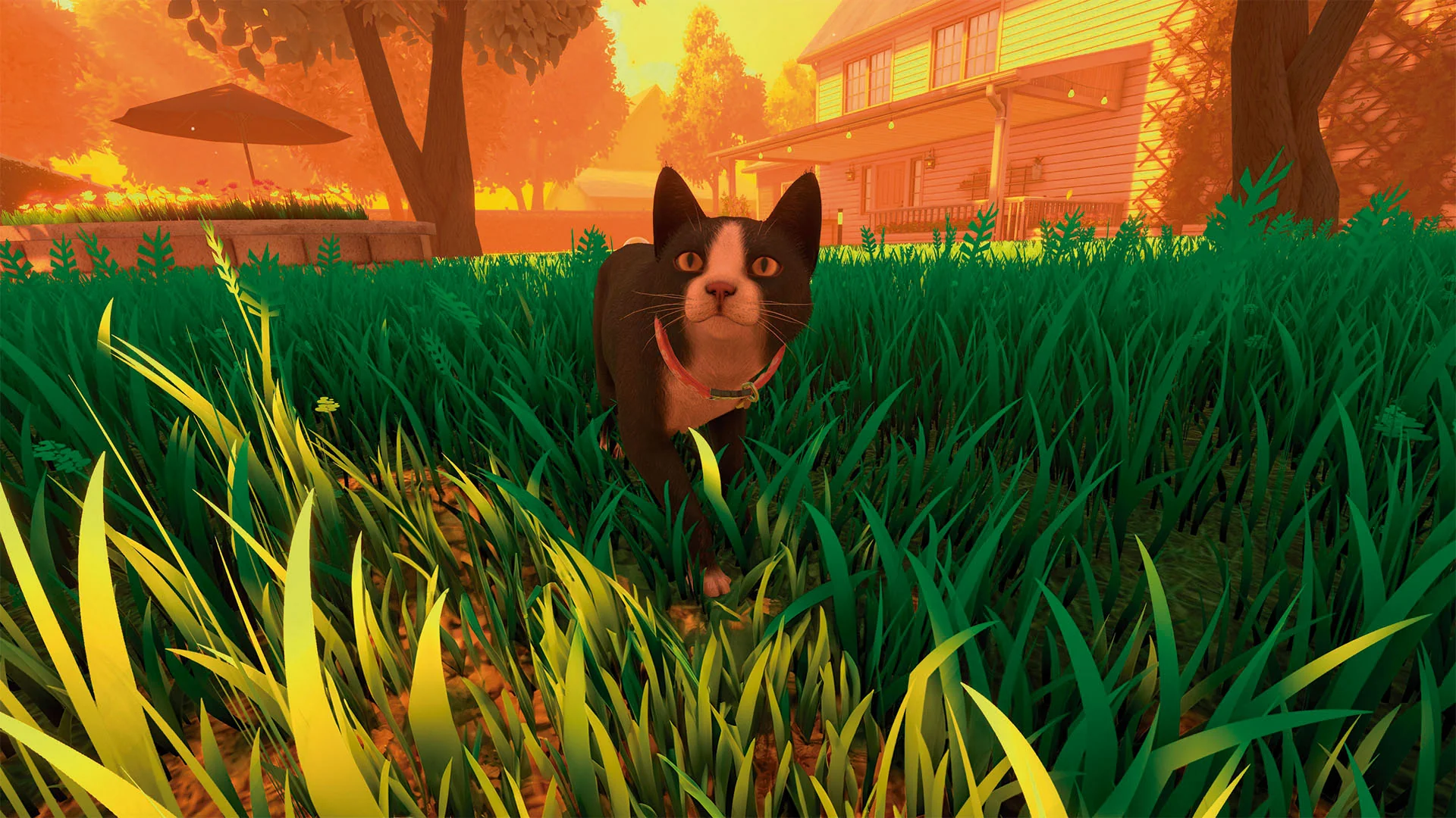 Copycat [EU Import] - Playstation 5 - Image 9