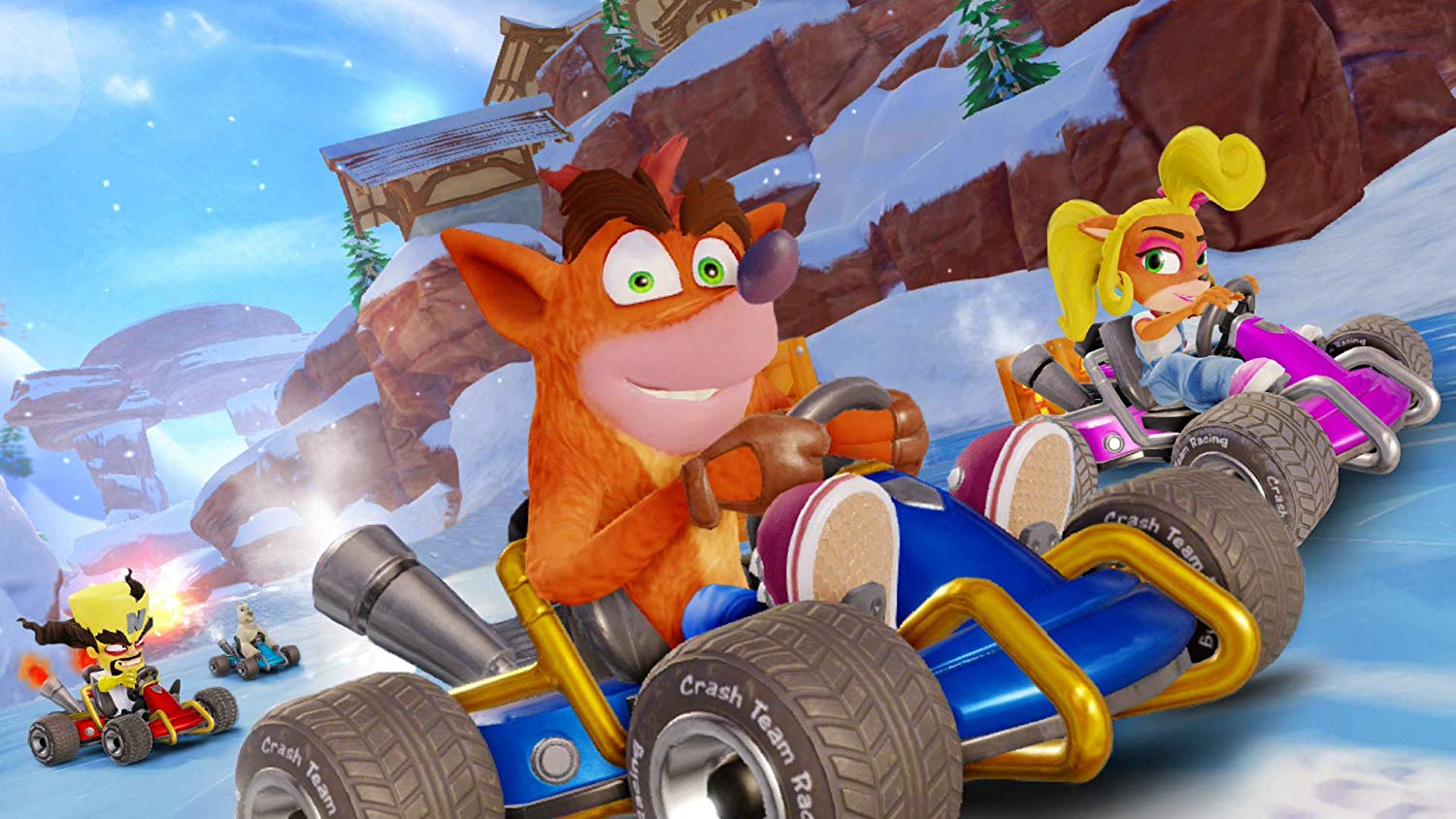 Crash Team Racing Nitro Fueled - Nintendo Switch - Image 5