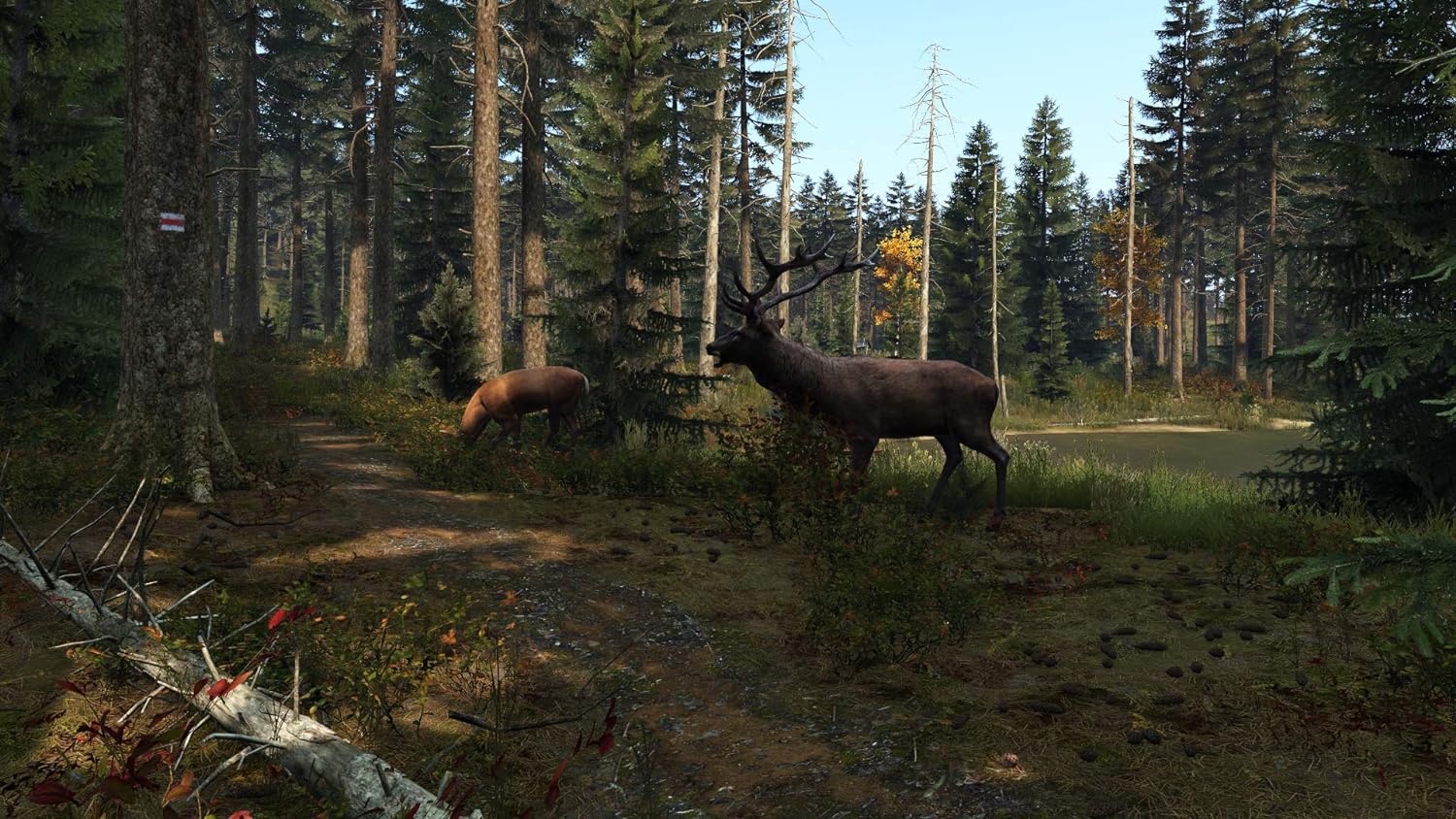 DayZ - PlayStation 4 - Image 2