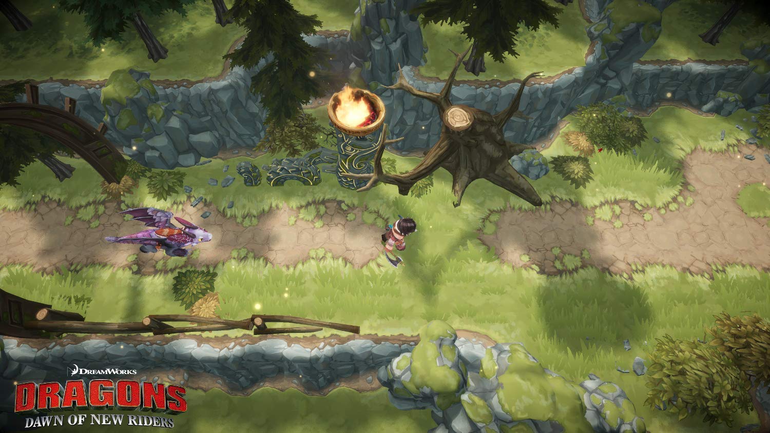 Dragons Dawn of the New Riders - PS4 - Image 2