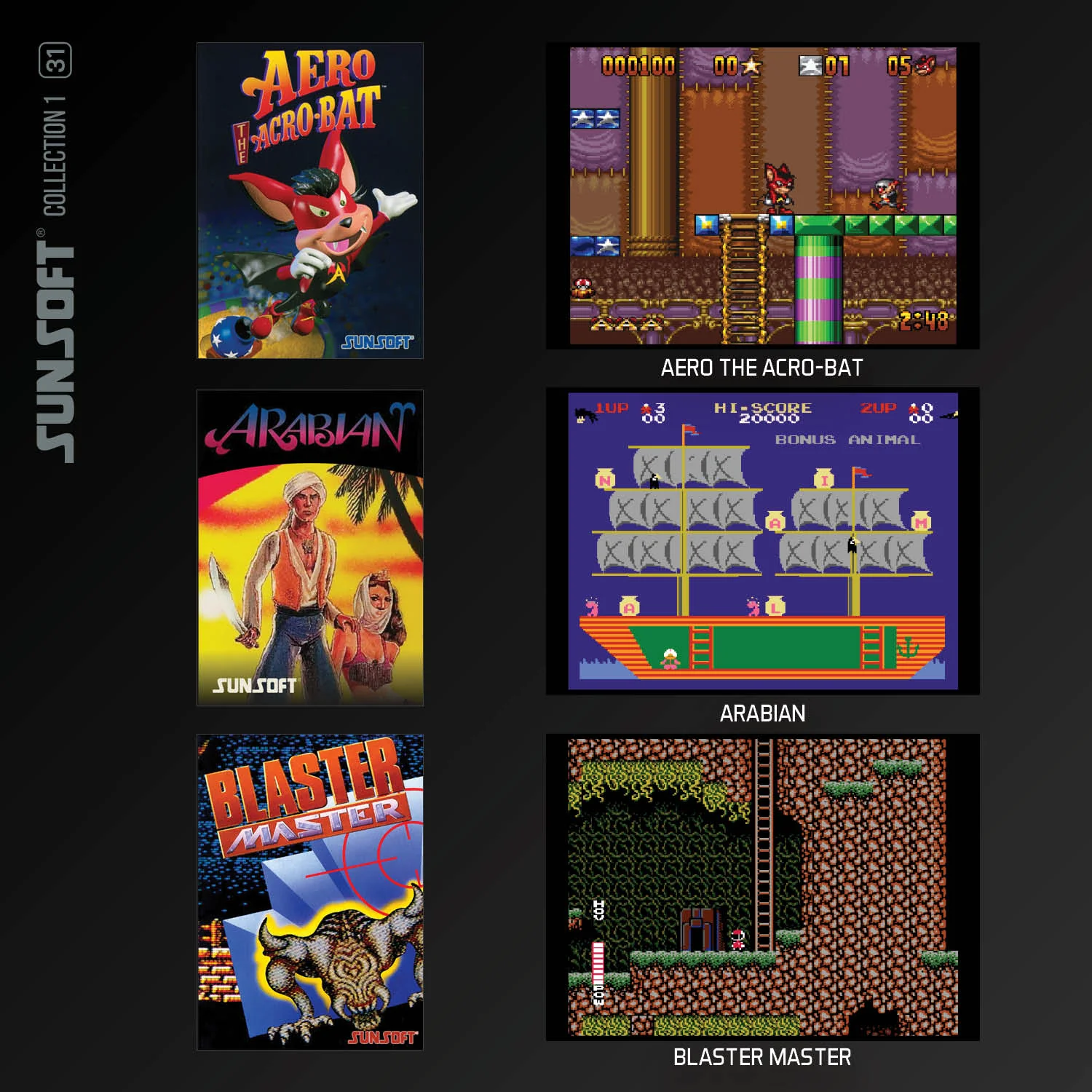 Evercade Sunsoft Collection 1 [#31] - Image 3