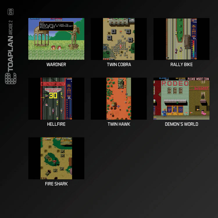 Evercade Toaplan Arcade Collection 2 [#A9] - Image 3