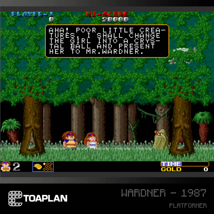 Evercade Toaplan Arcade Collection 2 [#A9] - Image 5