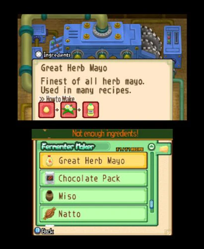 Harvest Moon: Tale of Two Towns - 3DS - Image 6
