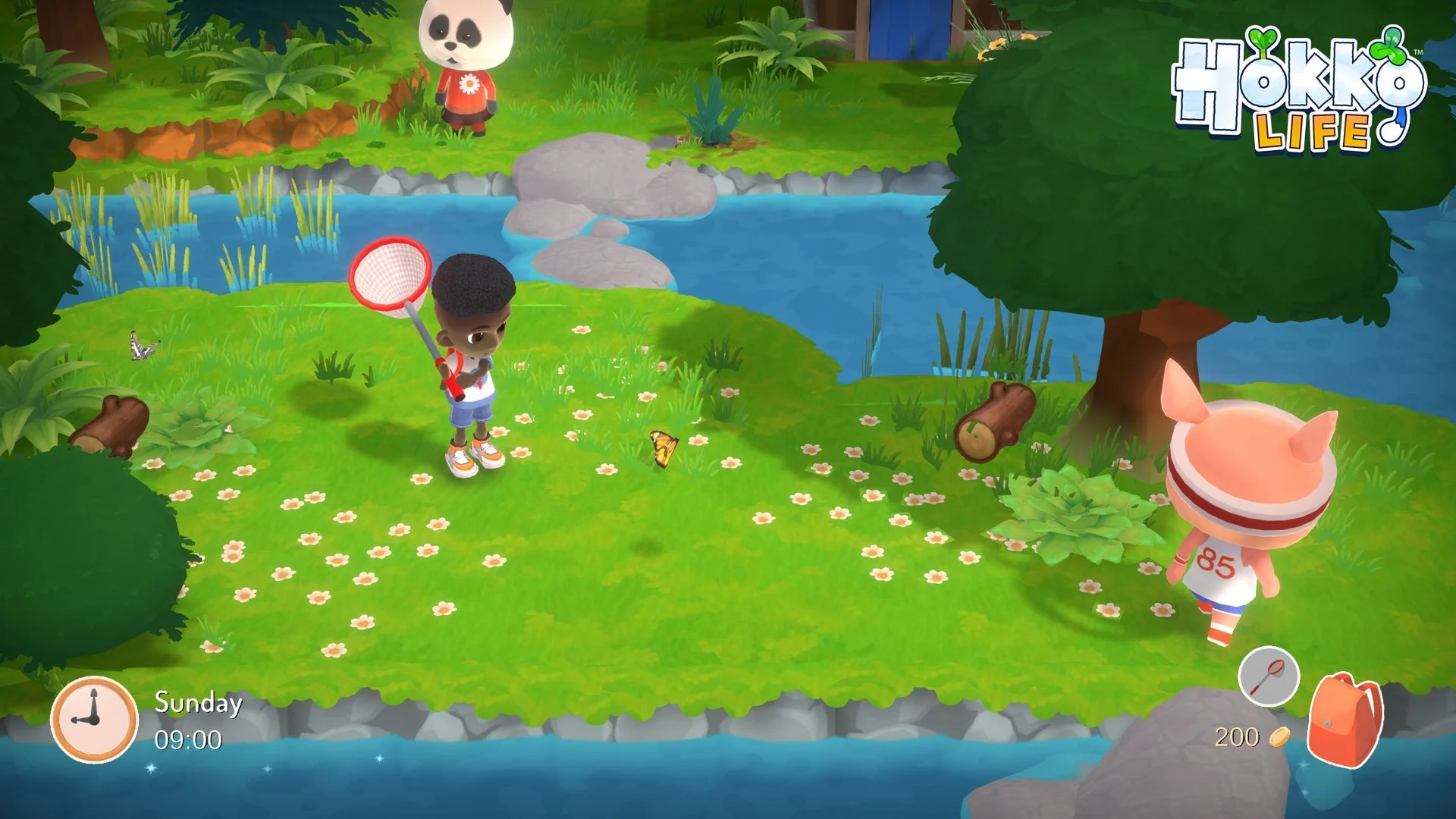 Hokko Life - SWITCH - Image 3