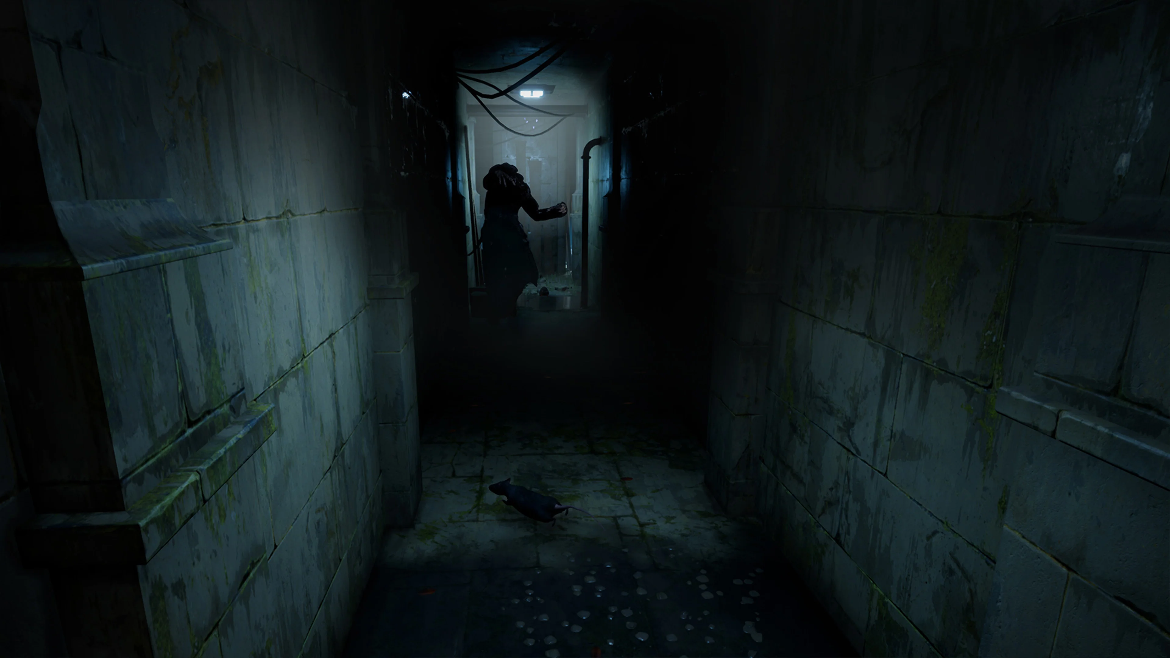 Horror Tales: The Wine - PlayStation 5 [PEGI Import] - Image 3