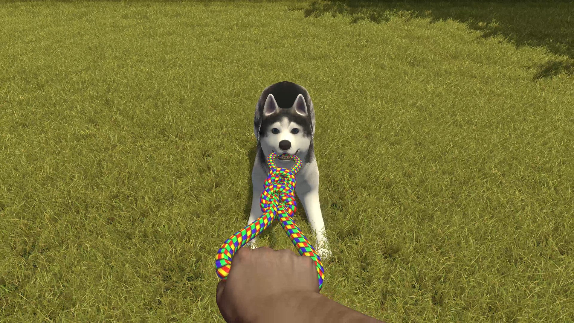HOUSE FLIPPER PETS EDITION - SWITCH - Image 8