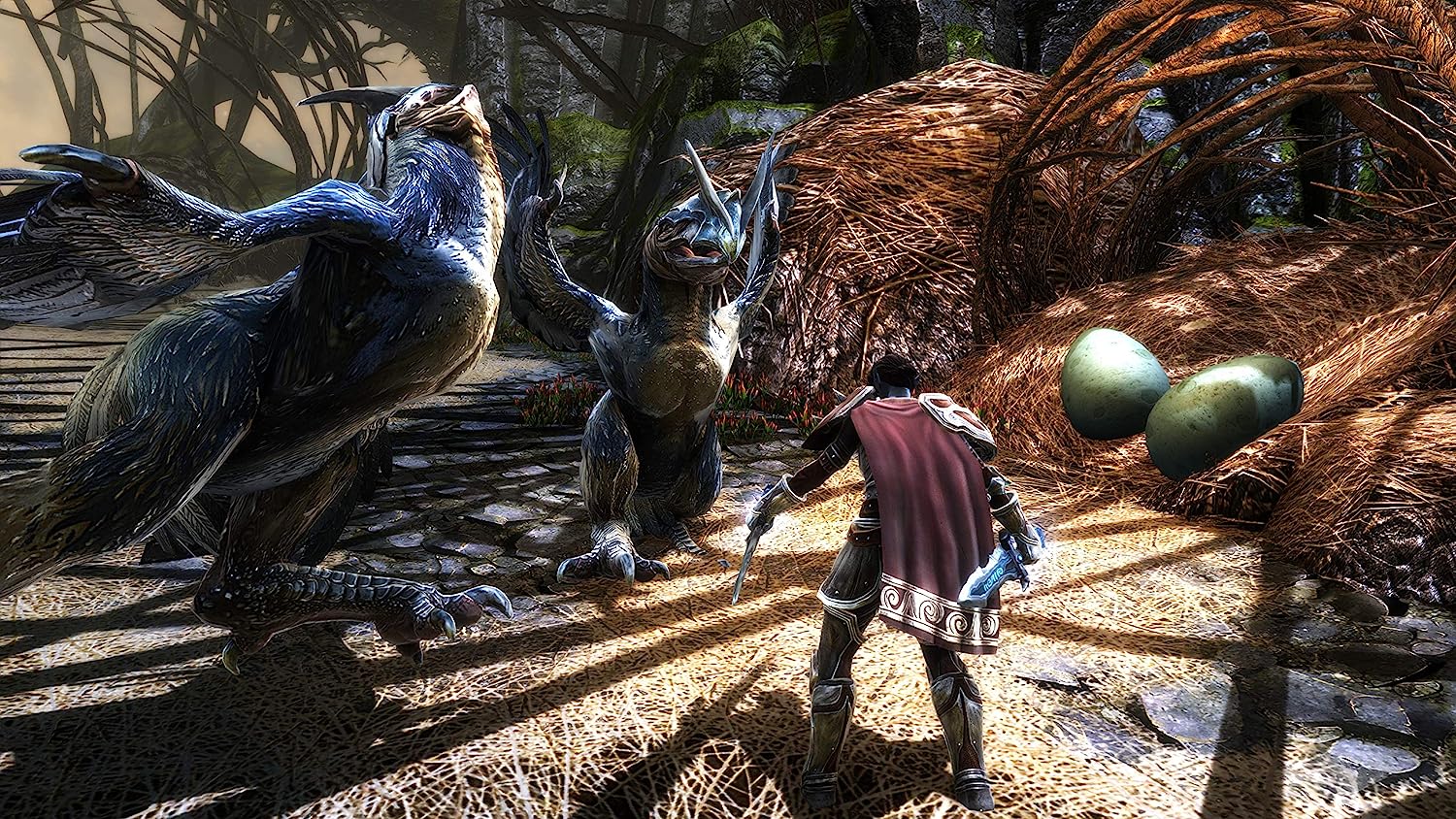 Kingdoms of Amalur Re-Reckoning - PlayStation 4 - Image 3