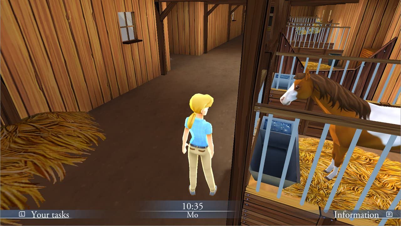 My Riding Stables: Life with Horses - Nintendo Switch - Image 3