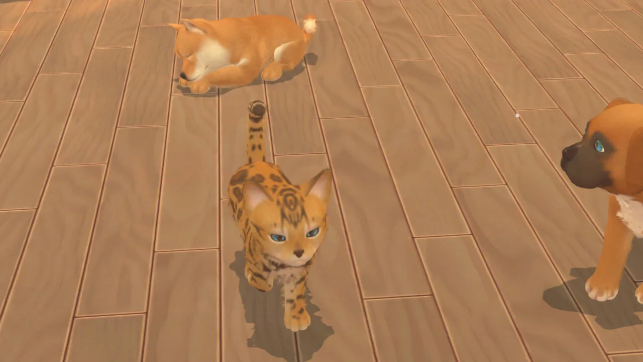 My Universe: Puppies and Kittens - PlayStation 4 - Image 6