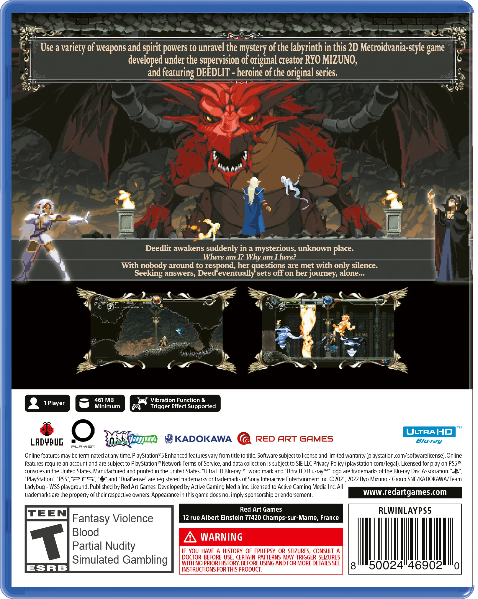 Record of Lodoss War : Deedlit in Wonder Labyrinth - Playstation 5 - Image 2
