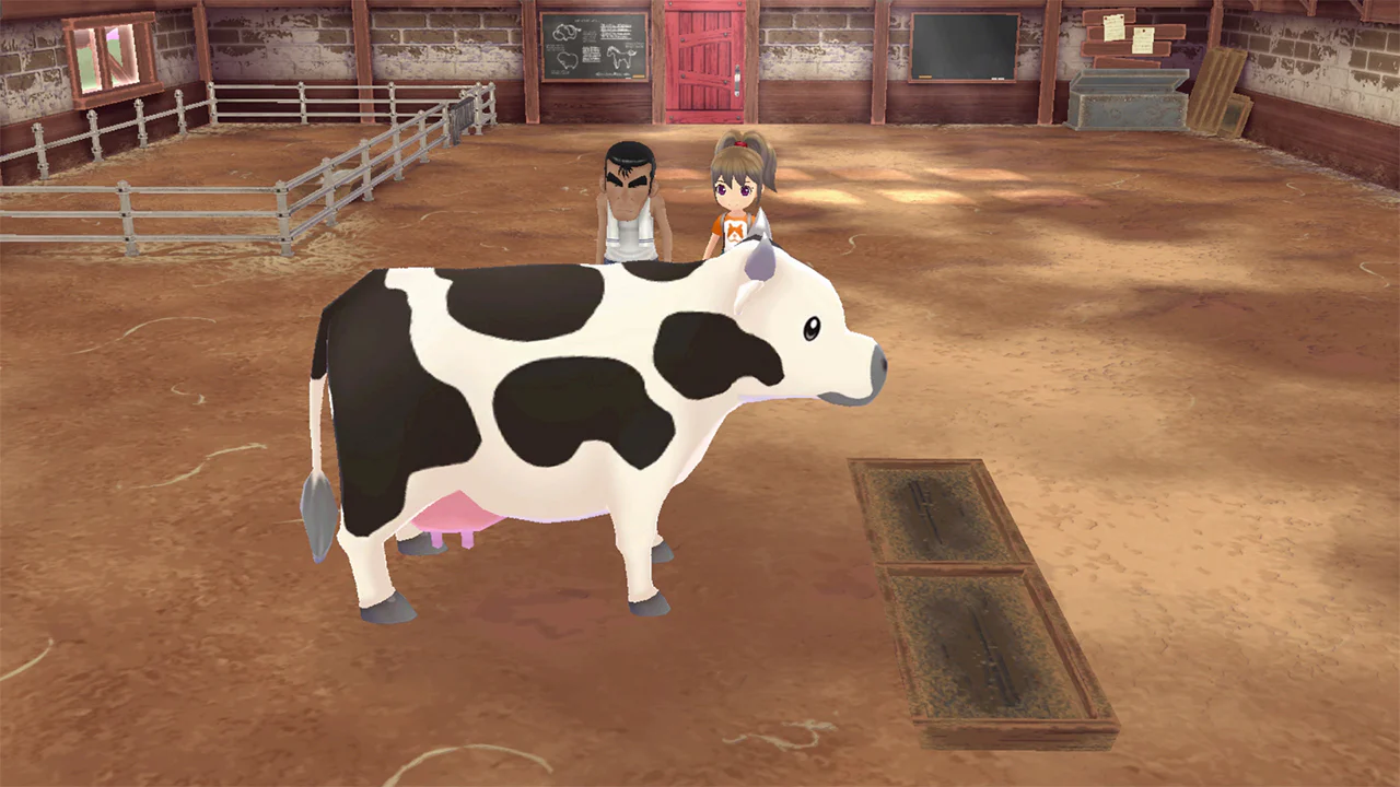 STORY OF SEASONS A WONDERFUL LIFE - PS5 - Image 5
