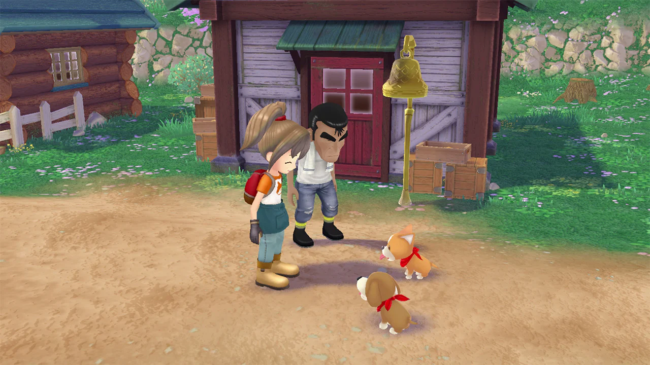 STORY OF SEASONS A WONDERFUL LIFE PREMIUM EDITION - XBOX SERIES X - Image 6