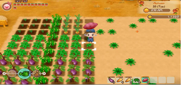 STORY OF SEASONS FRIENDS OF MINERAL TOWN - XBOX ONE - Image 5