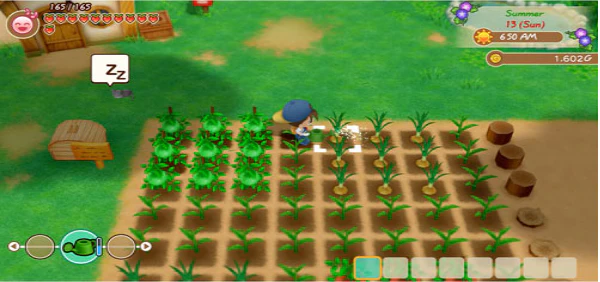 STORY OF SEASONS FRIENDS OF MINERAL TOWN - XBOX ONE - Image 6