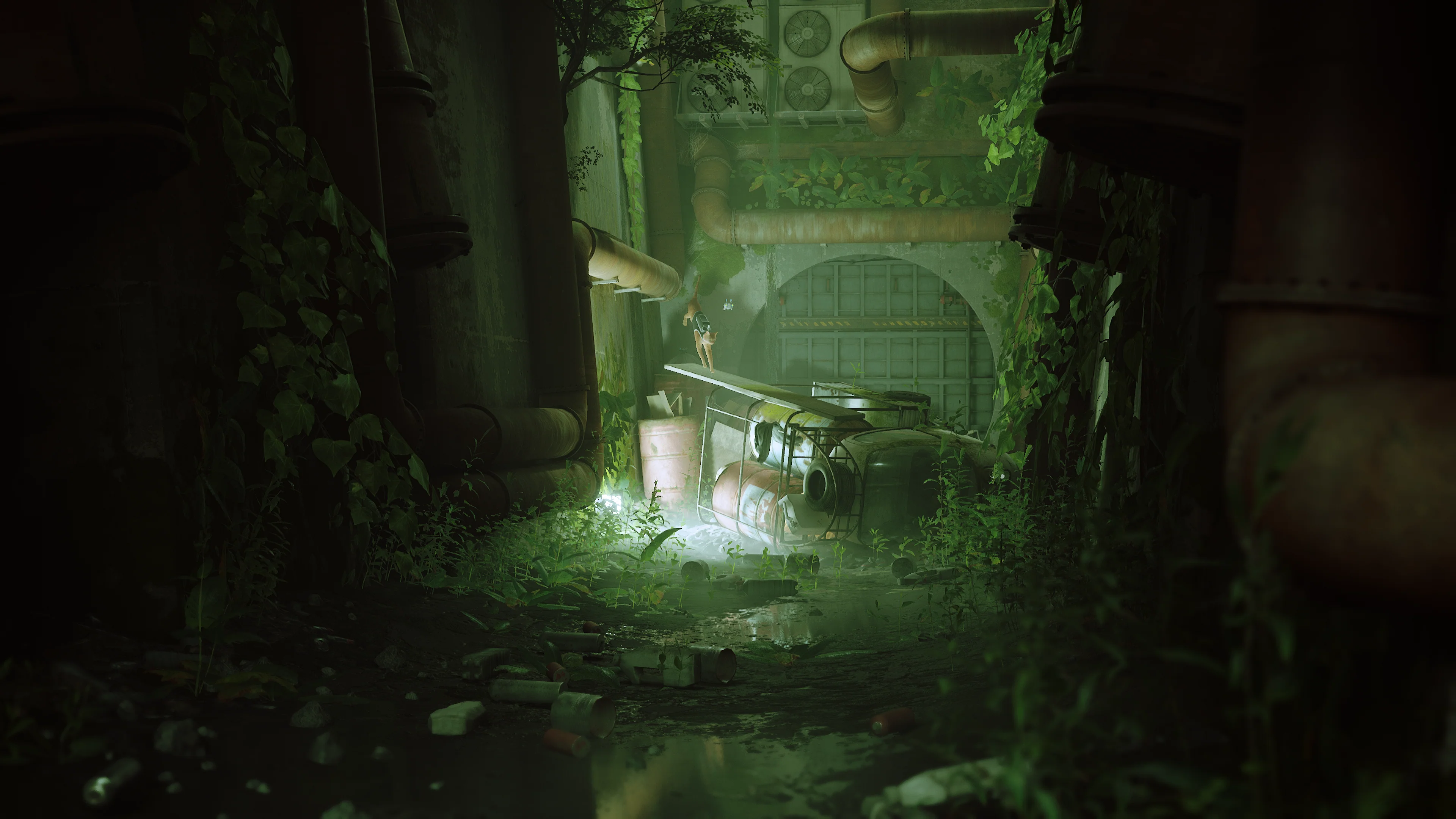 Stray - Xbox One/Xbox Series X - Image 3