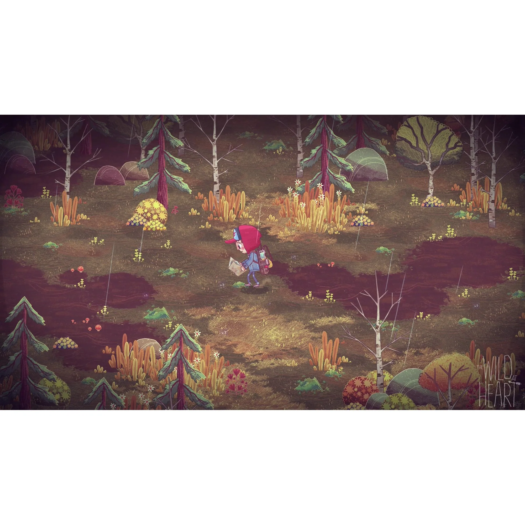 The Wild at Heart - PS4 - Image 2