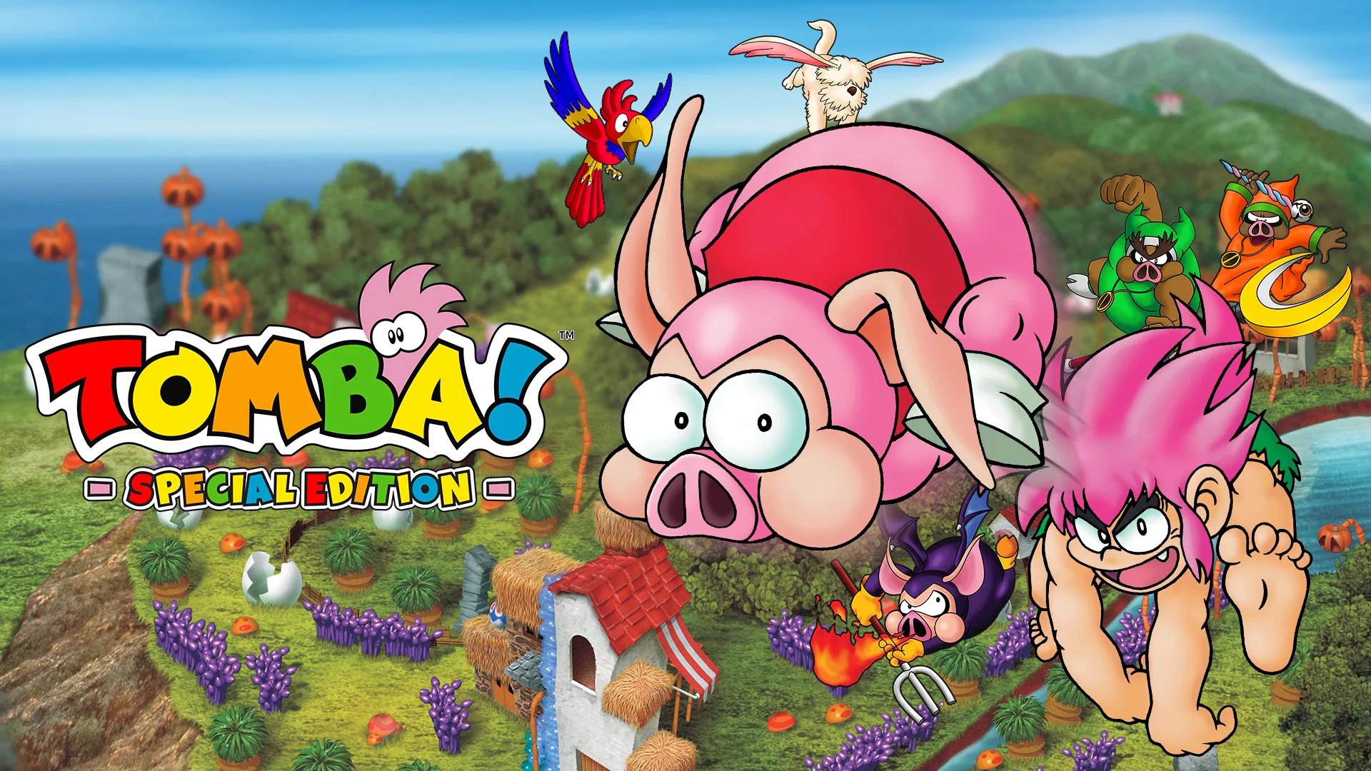 TOMBA! Special Edition [VGP Exclusive] - PlayStation 4 - Image 11