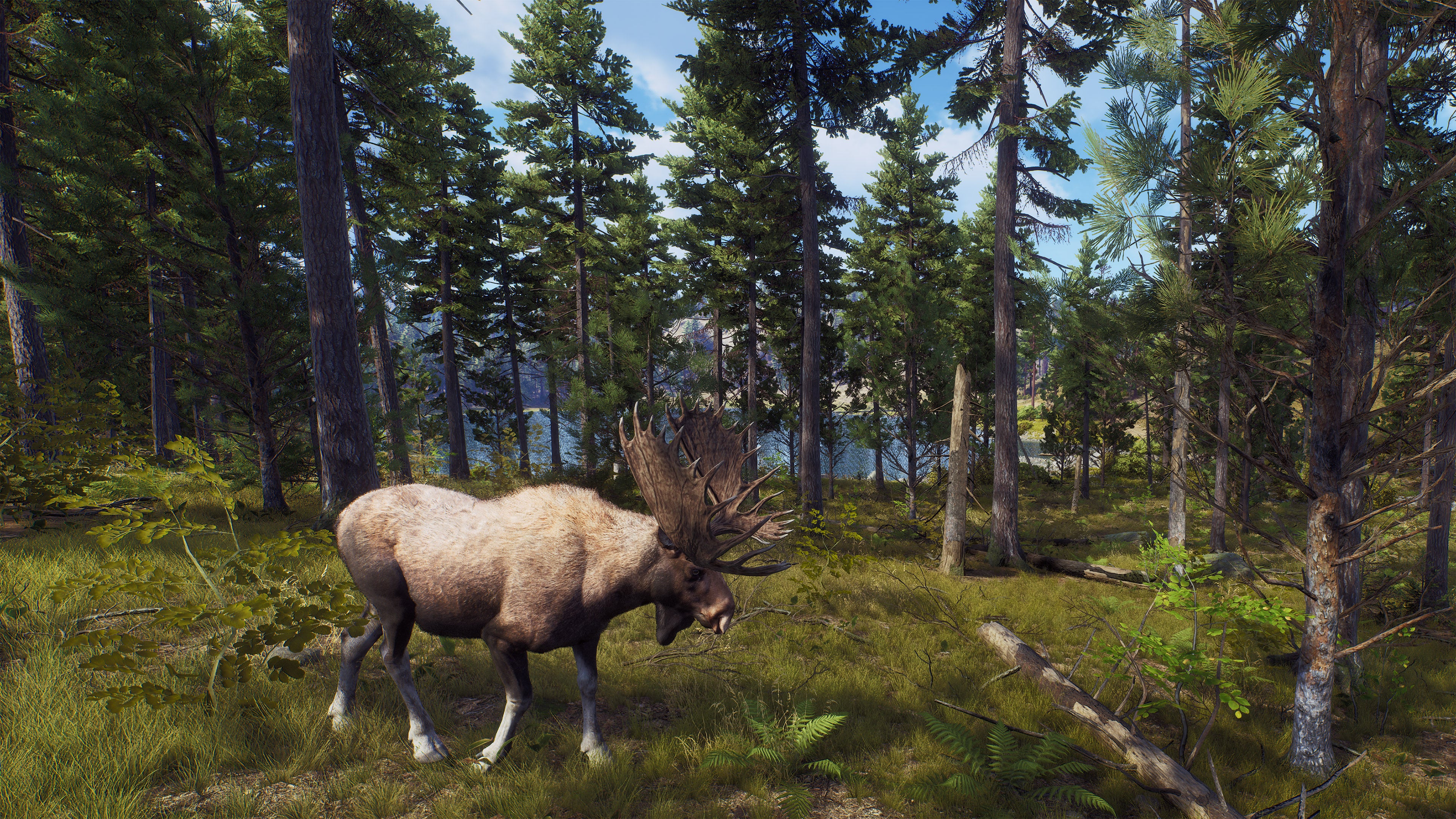 Way of the Hunter Hunting Season - XBOX SERIES X - Image 4