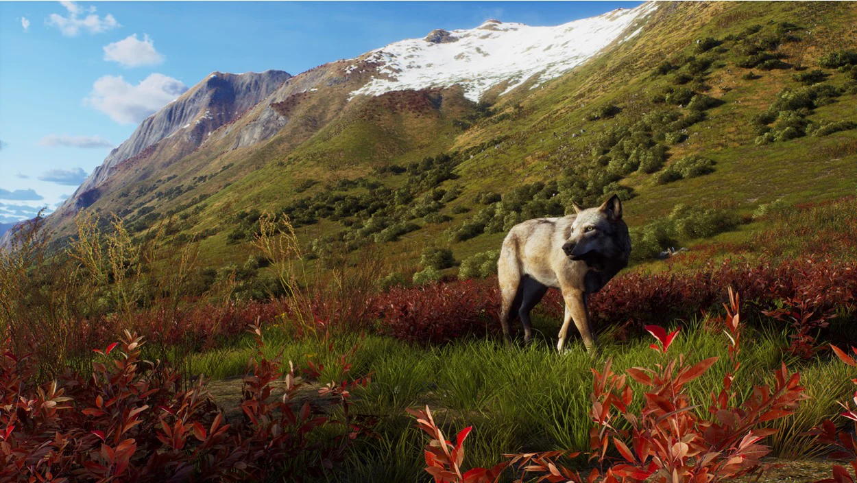 Way of the Hunter: Wild Expeditions - Xbox Series X - Image 2
