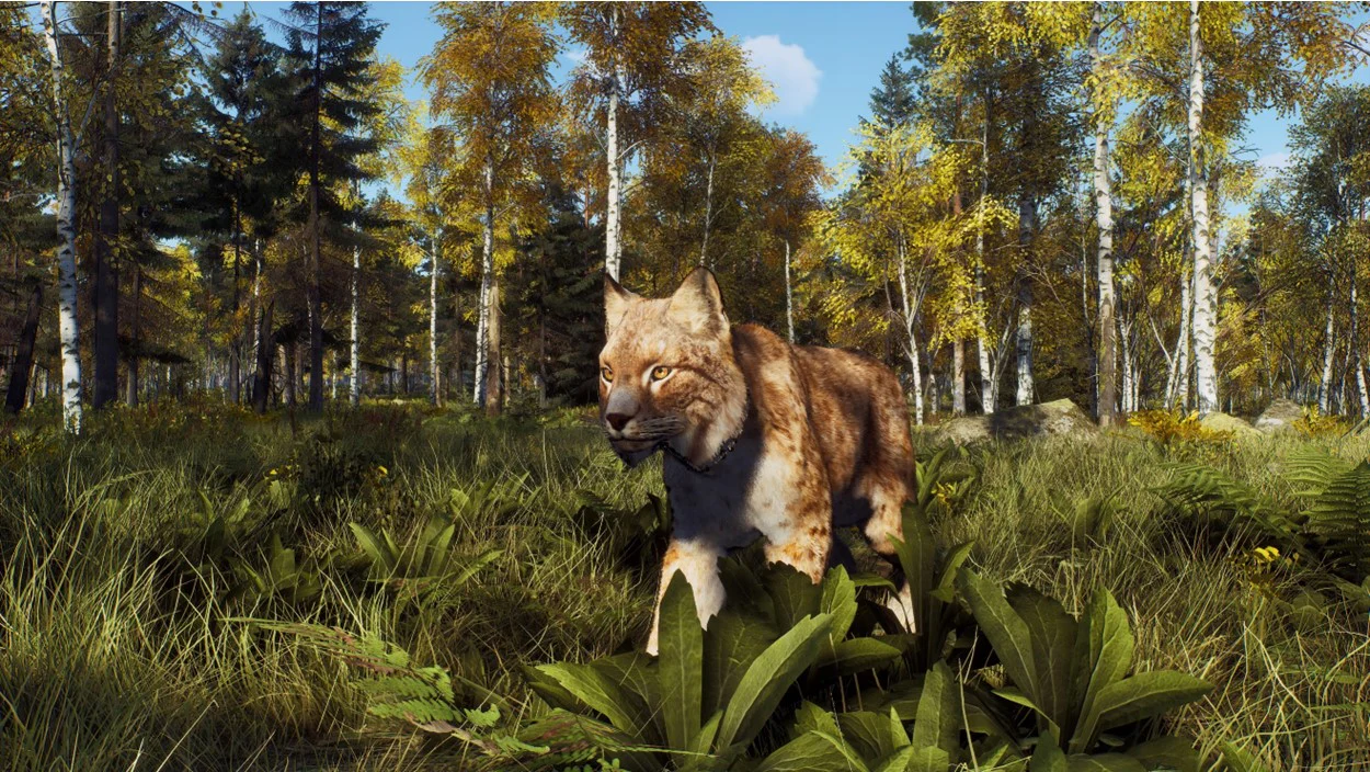 Way of the Hunter: Wild Expeditions - Xbox Series X - Image 4